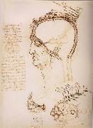 LEONARDO da Vinci Anatomical study of the brain and the scalp painting